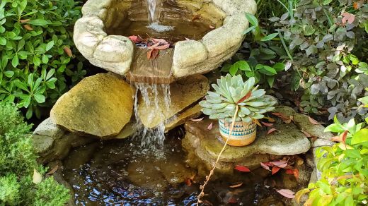 Salem’s Serene Escapes: Water Features to Elevate Your Landscape
